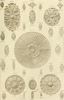 An illustration from Catalog of Capitals, brackets and compo ornament for exterior and interior decoration (1900)