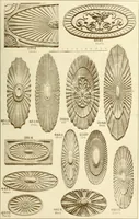 An illustration from Catalog of Capitals, brackets and compo ornament for exterior and interior decoration (1900)