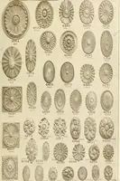 An illustration from Catalog of Capitals, brackets and compo ornament for exterior and interior decoration (1900)