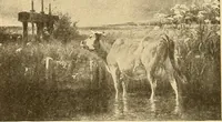 An illustration from Catalog of large carbon photographs, photogravures, engravings, etchings and copper-plate paintings in the educational art exhibitions of A.W. Elson & Company with a list of other pictures recommended for school, library, and home decoration (1910)