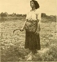 An illustration from Catalog of large carbon photographs, photogravures, engravings, etchings and copper-plate paintings in the educational art exhibitions of A.W. Elson & Company with a list of other pictures recommended for school, library, and home decoration (1910)
