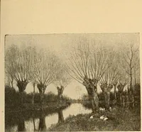 An illustration from Catalog of large carbon photographs, photogravures, engravings, etchings and copper-plate paintings in the educational art exhibitions of A.W. Elson & Company with a list of other pictures recommended for school, library, and home decoration (1910)