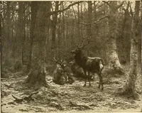 An illustration from Catalog of large carbon photographs, photogravures, engravings, etchings and copper-plate paintings in the educational art exhibitions of A.W. Elson & Company with a list of other pictures recommended for school, library, and home decoration (1910)