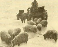 An illustration from Catalog of large carbon photographs, photogravures, engravings, etchings and copper-plate paintings in the educational art exhibitions of A.W. Elson & Company with a list of other pictures recommended for school, library, and home decoration (1910)