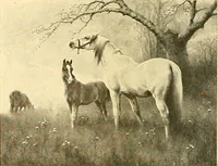 An illustration from Catalog of large carbon photographs, photogravures, engravings, etchings and copper-plate paintings in the educational art exhibitions of A.W. Elson & Company with a list of other pictures recommended for school, library, and home decoration (1910)
