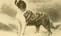 An illustration from Catalog of large carbon photographs, photogravures, engravings, etchings and copper-plate paintings in the educational art exhibitions of A.W. Elson & Company with a list of other pictures recommended for school, library, and home decoration (1910)