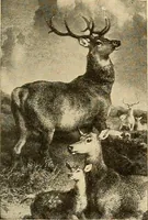 An illustration from Catalog of large carbon photographs, photogravures, engravings, etchings and copper-plate paintings in the educational art exhibitions of A.W. Elson & Company with a list of other pictures recommended for school, library, and home decoration (1910)