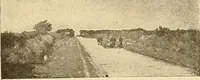An illustration from Catalog of large carbon photographs, photogravures, engravings, etchings and copper-plate paintings in the educational art exhibitions of A.W. Elson & Company with a list of other pictures recommended for school, library, and home decoration (1910)