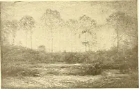 An illustration from Catalog of large carbon photographs, photogravures, engravings, etchings and copper-plate paintings in the educational art exhibitions of A.W. Elson & Company with a list of other pictures recommended for school, library, and home decoration (1910)
