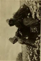 An illustration from Catalog of paintings by eminent American old masters : and by some of the prominent living American artists, from the collection of Young's Art Galleries (1918)