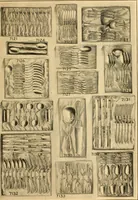 An illustration from Catalog "T" of standard merchandise : obtainable in exchange for S (1915)