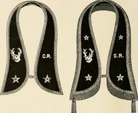 Picture 15 of 158 from [Catalogue] (1908), leaf 21