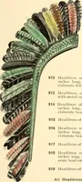 Picture 16 of 158 from [Catalogue] (1908), leaf 22