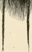 Picture 19 of 158 from [Catalogue] (1908), leaf 23