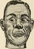 An illustration from [Catalogue] (1908)