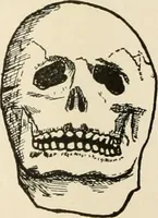 An illustration from [Catalogue] (1908)
