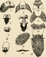 Picture 120 of 158 from [Catalogue] (1908), leaf 89