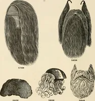 Picture 132 of 158 from [Catalogue] (1908), leaf 93