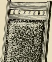 Picture 22 of 68 from Catalogue 1894-95. (1894), leaf 29