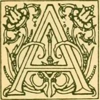 An illustration from Catalogue 82. (1911)