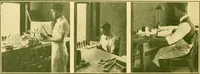 An illustration from Catalogue 82. (1911)