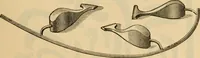An illustration from Catalogue. A.H. Abbott & co., manufacturers and importers of mathematical and surveying instruments and drawing materials of every description .. (1896)