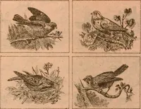 An illustration from Catalogue : Carter's oil chromos, Carter's popular crayons. (1877)