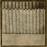 Picture 247 of 280 from Catalogue containing illustrations and price lists of Newman & Levinson .. (1891), leaf 113