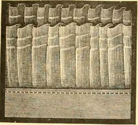 Picture 248 of 280 from Catalogue containing illustrations and price lists of Newman & Levinson .. (1891), leaf 114