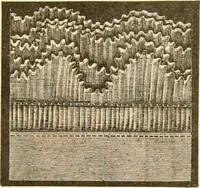 An illustration from Catalogue containing illustrations and price lists of Newman & Levinson .. (1891)