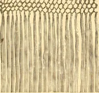 Picture 261 of 280 from Catalogue containing illustrations and price lists of Newman & Levinson .. (1891), leaf 117