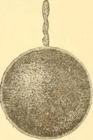 Picture 6 of 280 from Catalogue containing illustrations and price lists of Newman & Levinson .. (1891), leaf 16