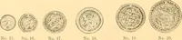 Picture 17 of 280 from Catalogue containing illustrations and price lists of Newman & Levinson .. (1891), leaf 19