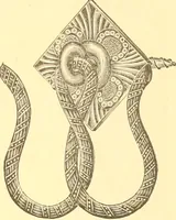 An illustration from Catalogue containing illustrations and price lists of Newman & Levinson .. (1891)