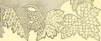 An illustration from Catalogue containing illustrations and price lists of Newman & Levinson .. (1891)