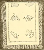 Picture 36 of 280 from Catalogue containing illustrations and price lists of Newman & Levinson .. (1891), leaf 28
