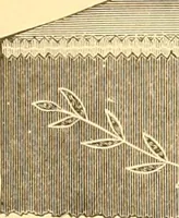 Picture 45 of 280 from Catalogue containing illustrations and price lists of Newman & Levinson .. (1891), leaf 32