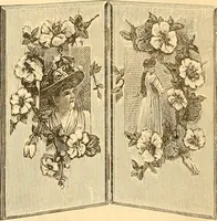 Picture 71 of 280 from Catalogue containing illustrations and price lists of Newman & Levinson .. (1891), leaf 41