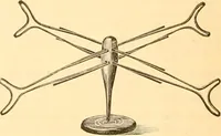 An illustration from Catalogue containing illustrations and price lists of Newman & Levinson .. (1891)