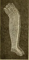An illustration from Catalogue containing illustrations and price lists of Newman & Levinson .. (1891)