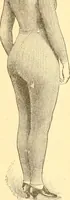 An illustration from Catalogue containing illustrations and price lists of Newman & Levinson .. (1891)