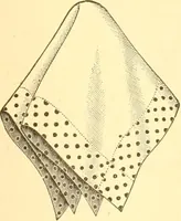 An illustration from Catalogue containing illustrations and price lists of Newman & Levinson .. (1891)