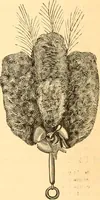Picture 183 of 280 from Catalogue containing illustrations and price lists of Newman & Levinson .. (1891), leaf 93