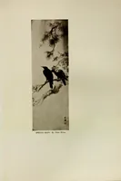 Picture 4 of 7 from Catalogue de luxe of the Department of fine arts, Panama-Pacific international exposition (1915), leaf 293
