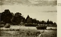 An illustration from Catalogue de luxe of the Department of Fine Arts, Panama-Pacific International Exposition (1915)