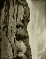 An illustration from Catalogue de luxe of the Department of Fine Arts, Panama-Pacific International Exposition (1915)