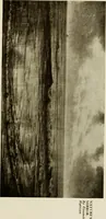 An illustration from Catalogue de luxe of the Department of Fine Arts, Panama-Pacific International Exposition (1915)