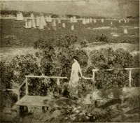 Picture 16 of 97 from Catalogue de luxe of the Department of Fine Arts, Panama-Pacific International Exposition (1915), leaf 88