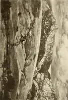 An illustration from Catalogue de luxe of the Department of Fine Arts, Panama-Pacific International Exposition (1915)