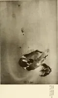 An illustration from Catalogue de luxe of the Department of Fine Arts, Panama-Pacific International Exposition (1915)